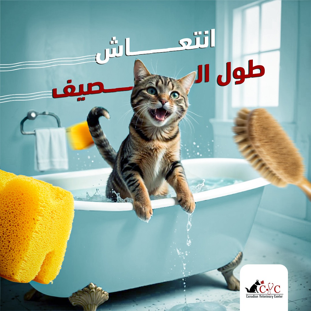 Post 3 انتعاش طول الصيف
